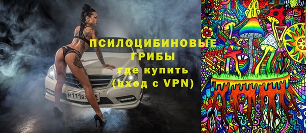 гашик Медногорск