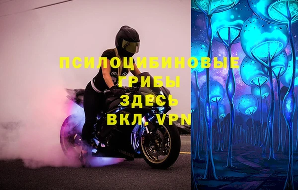гашик Медногорск