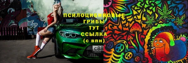 гашик Медногорск